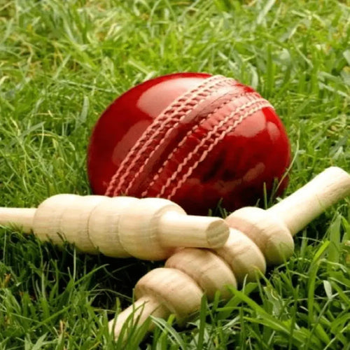 Complete Cricket Kit XL Arena