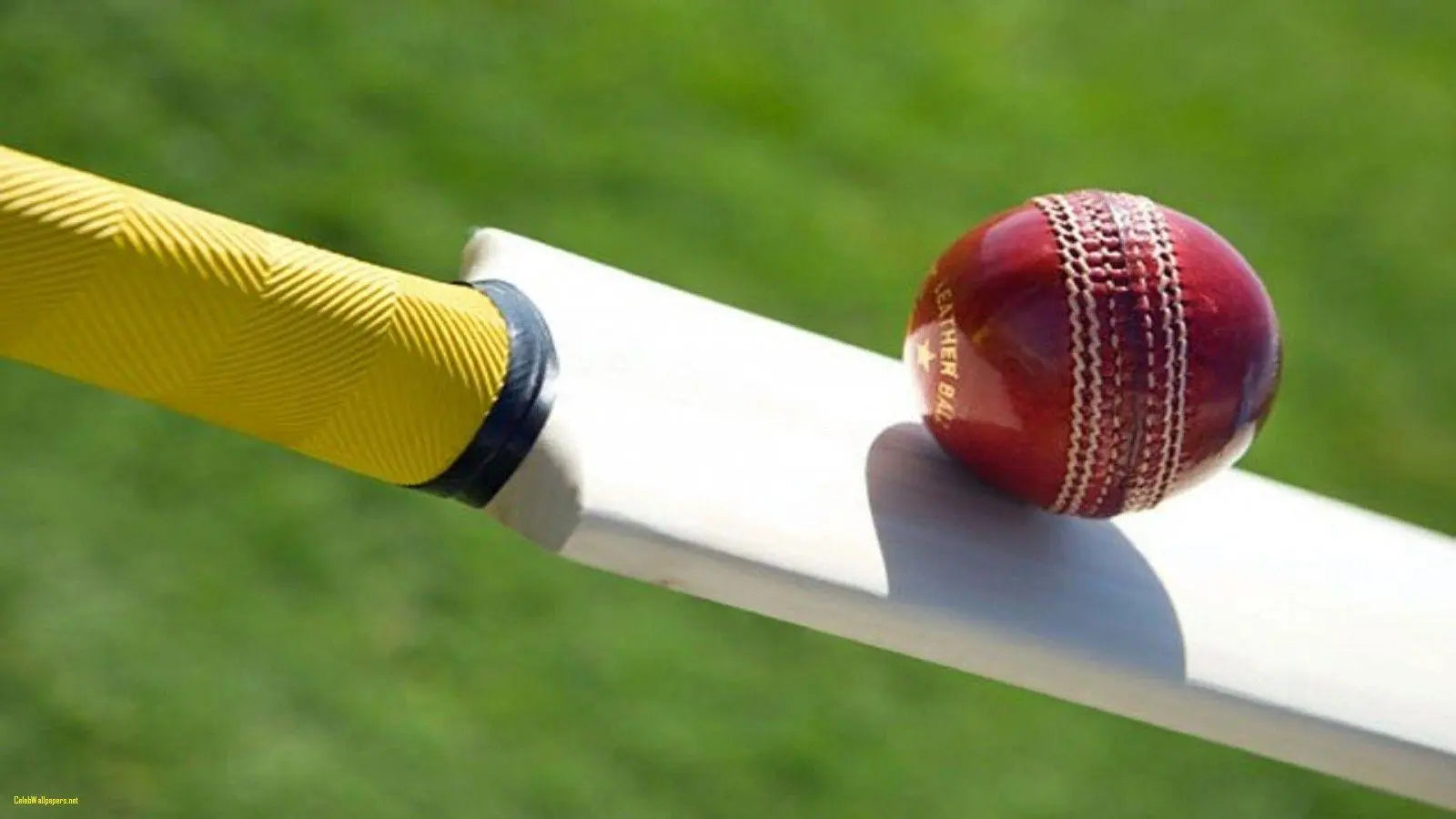 Complete Cricket Kit XL Arena