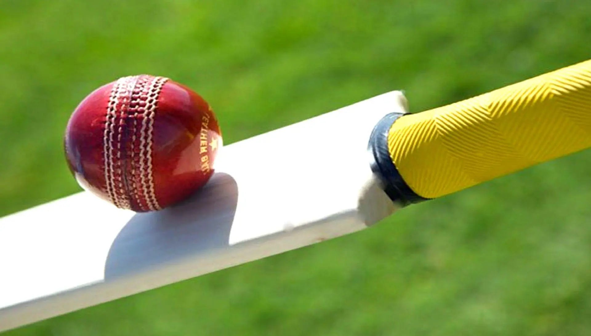 cricket bat NX digital hub