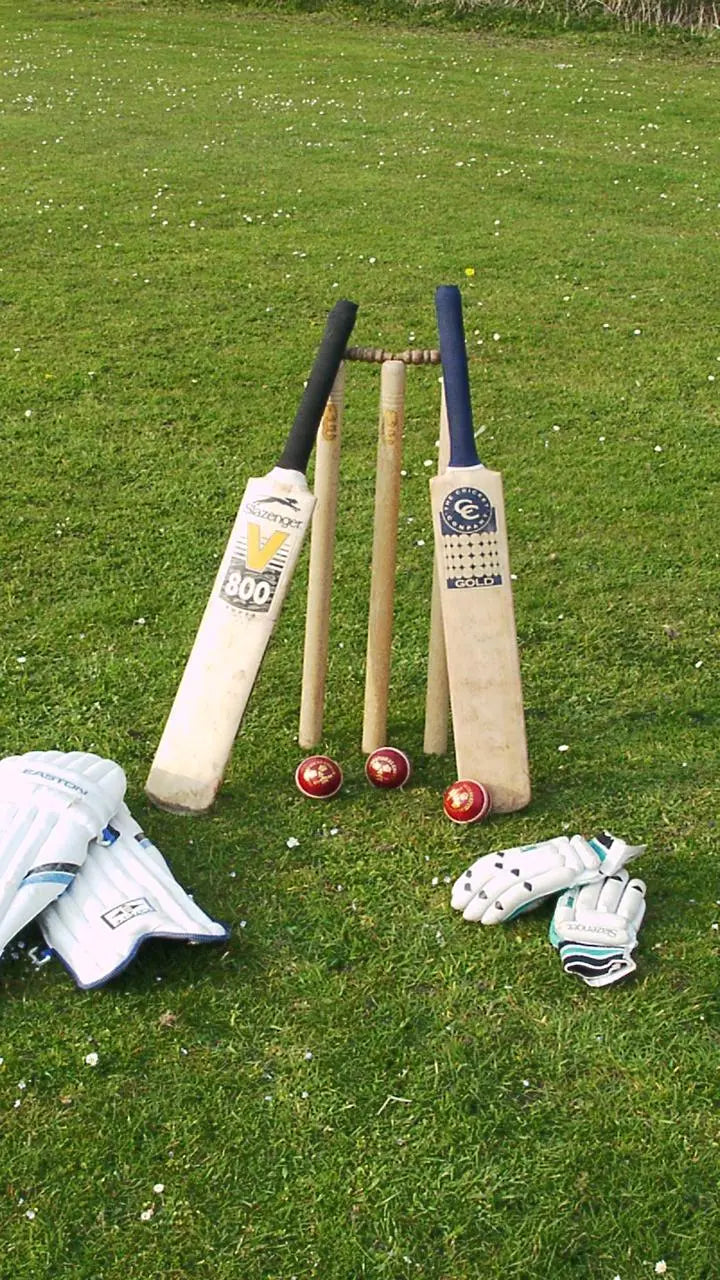 cricket bat NX digital hub