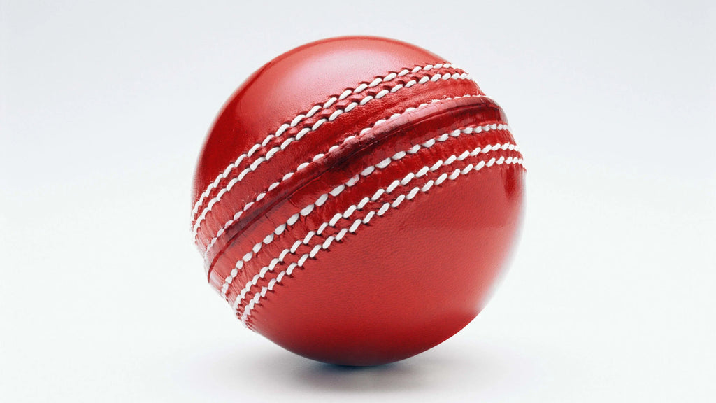 Professional Leather Cricket Ball NX digital hub
