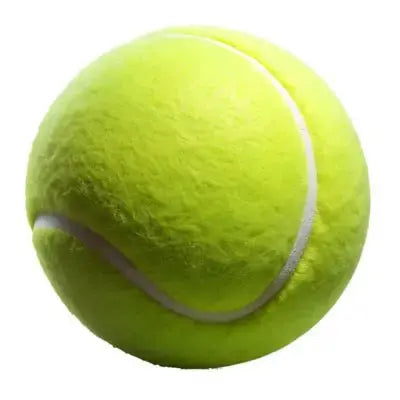 Professional Leather Cricket Ball NX digital hub