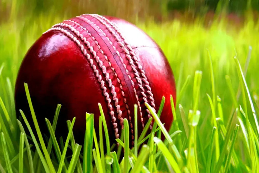 Professional Leather Cricket Ball NX digital hub