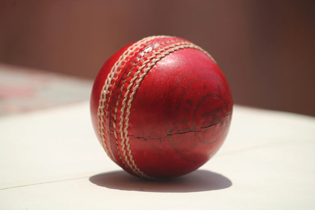 Professional Leather Cricket Ball NX digital hub
