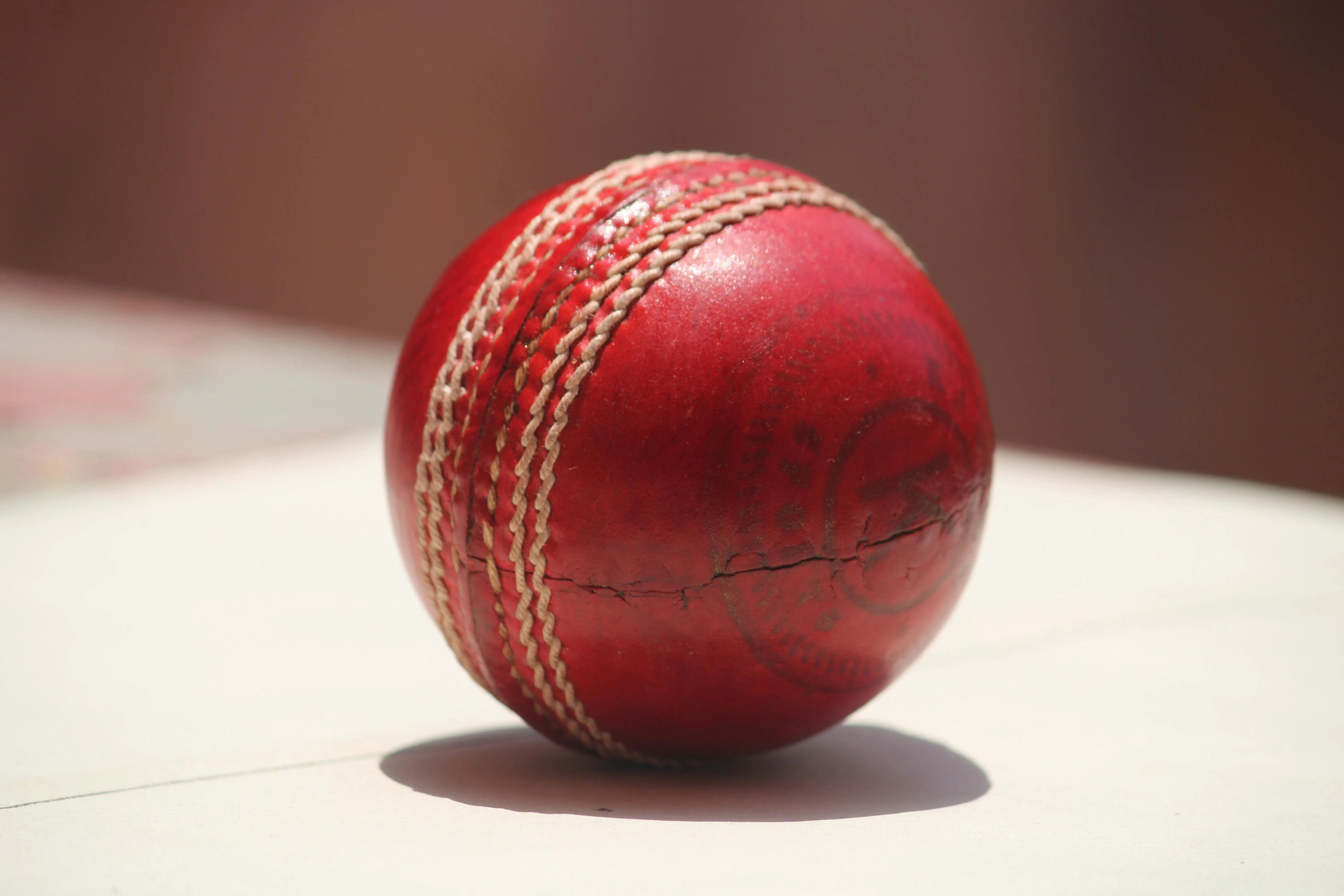 Professional Leather Cricket Ball NX digital hub