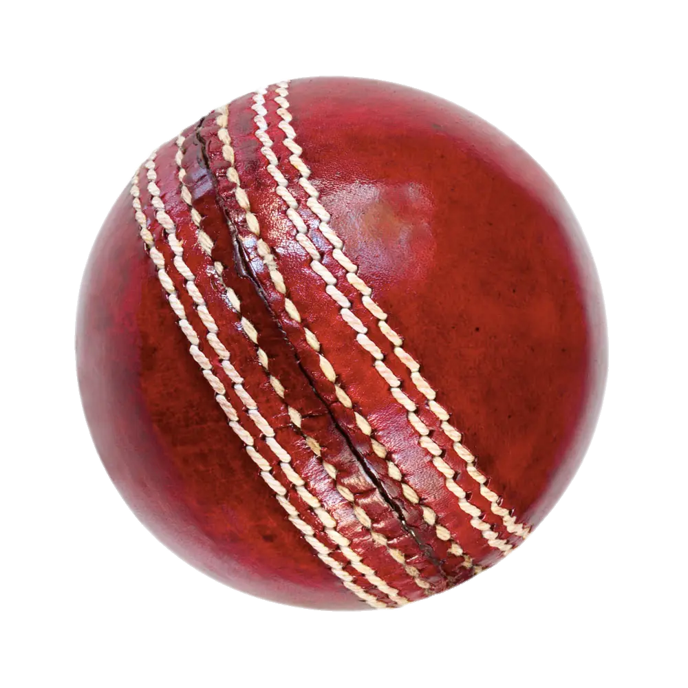 Professional Leather Cricket Ball NX digital hub